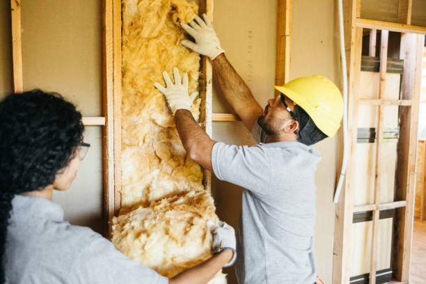 Best Home Insulation Services  in Elkhorn City, KY